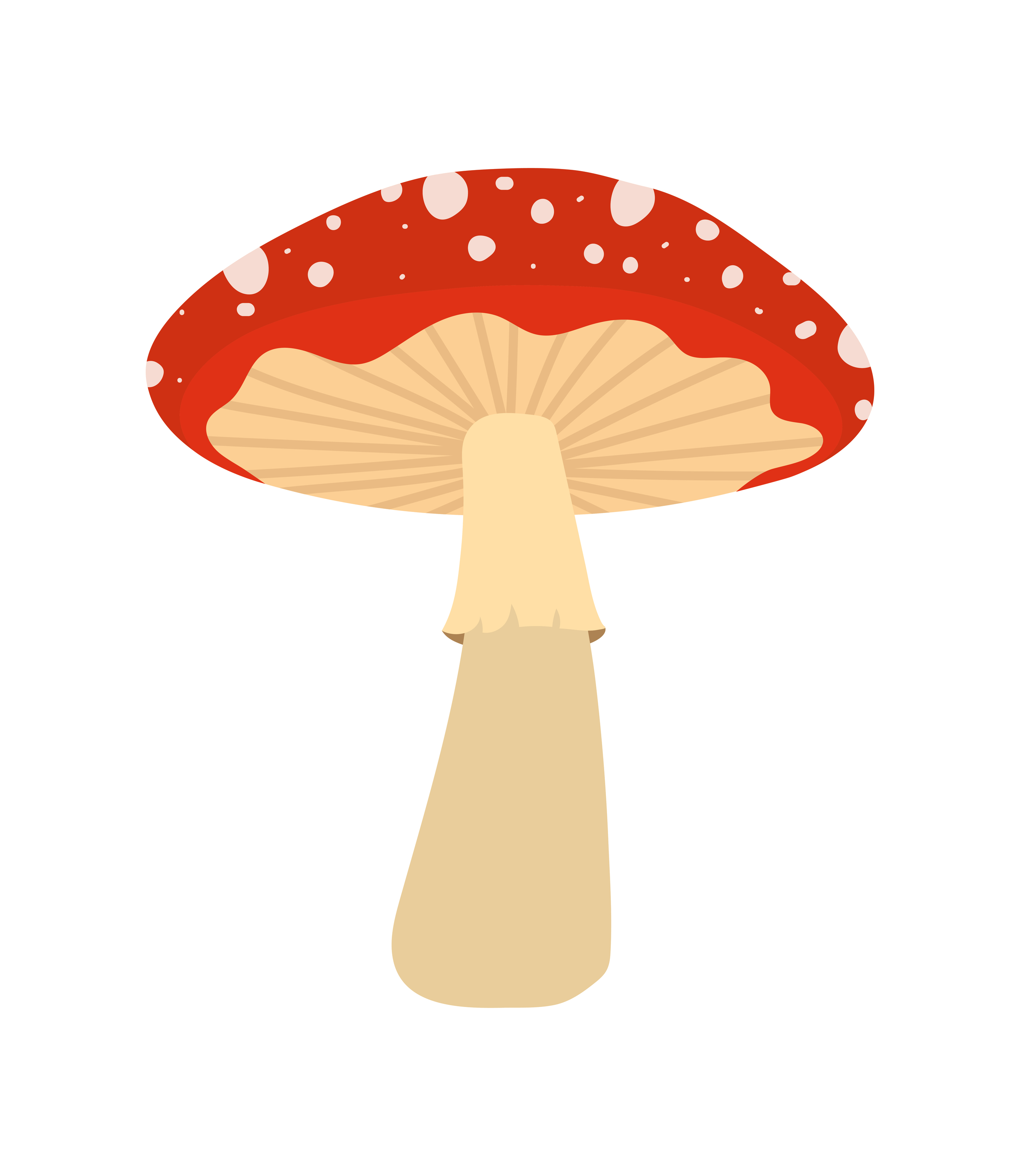 red mushroom design 4231633 Vector Art at Vecteezy