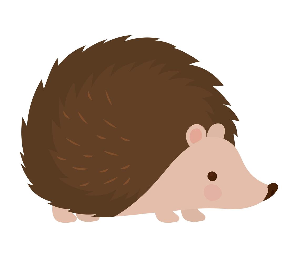 adorable diseño de puercoespín vector