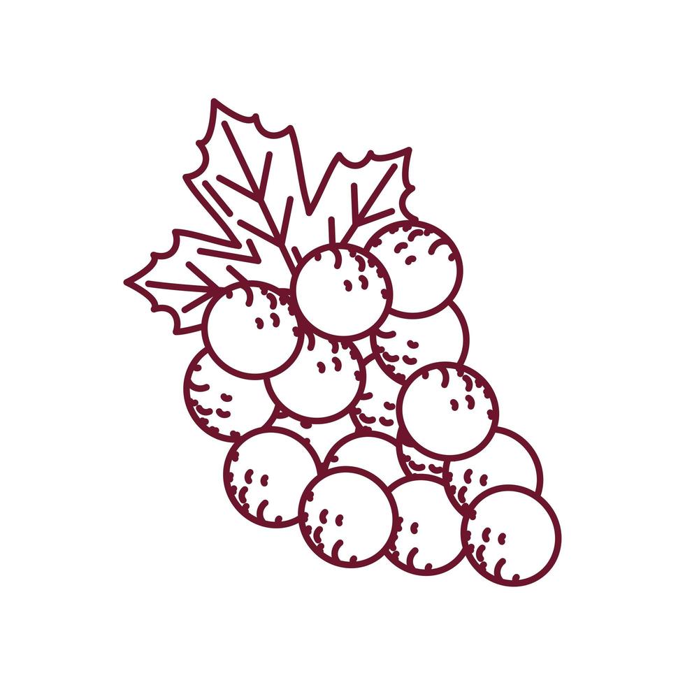 racimo de uvas fruta vector
