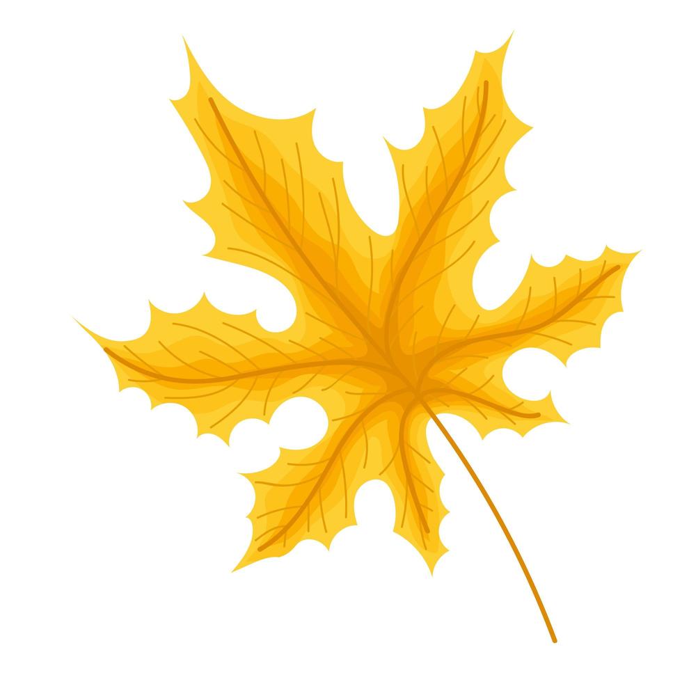 yellow webbed leaf vector