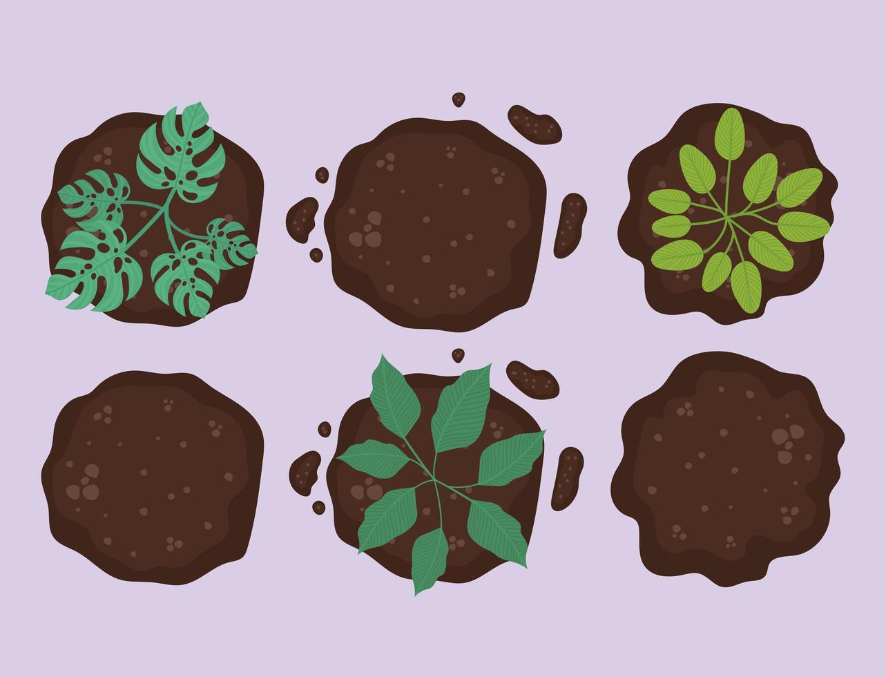 six plants on earth vector