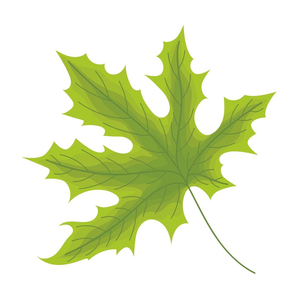 green webbed leaf vector