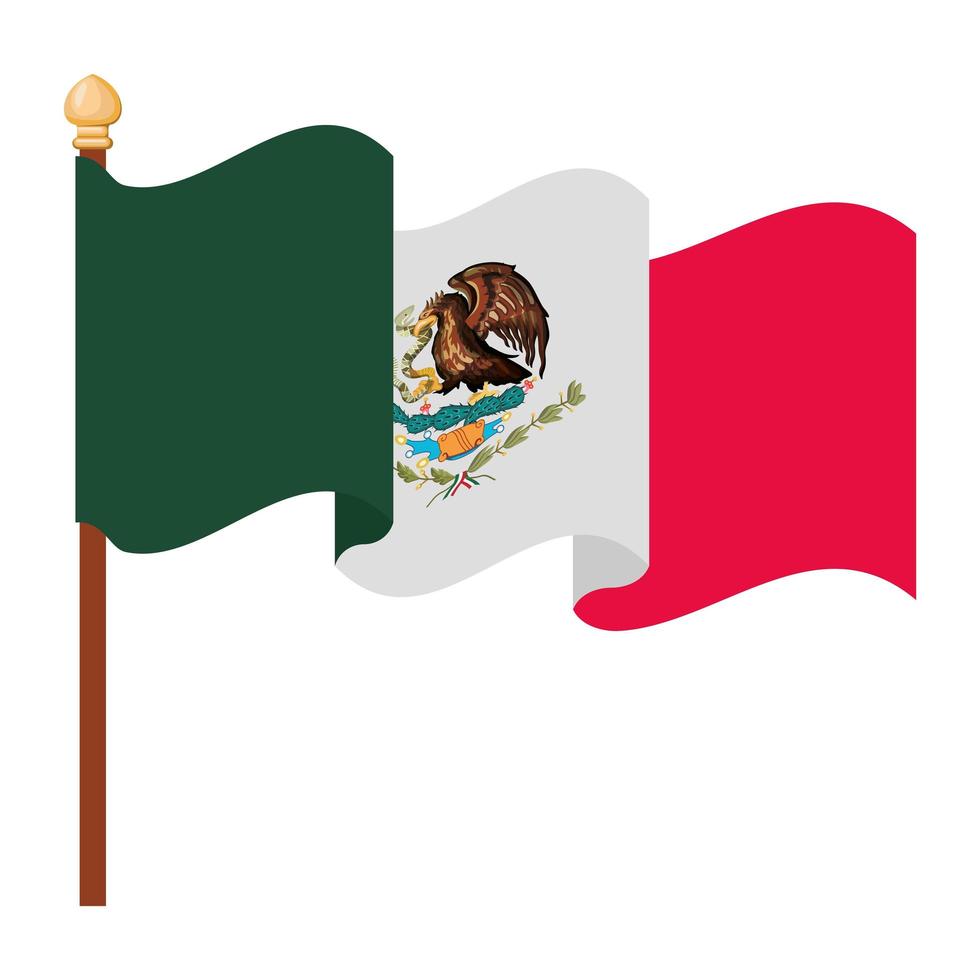 mexico flag representation vector