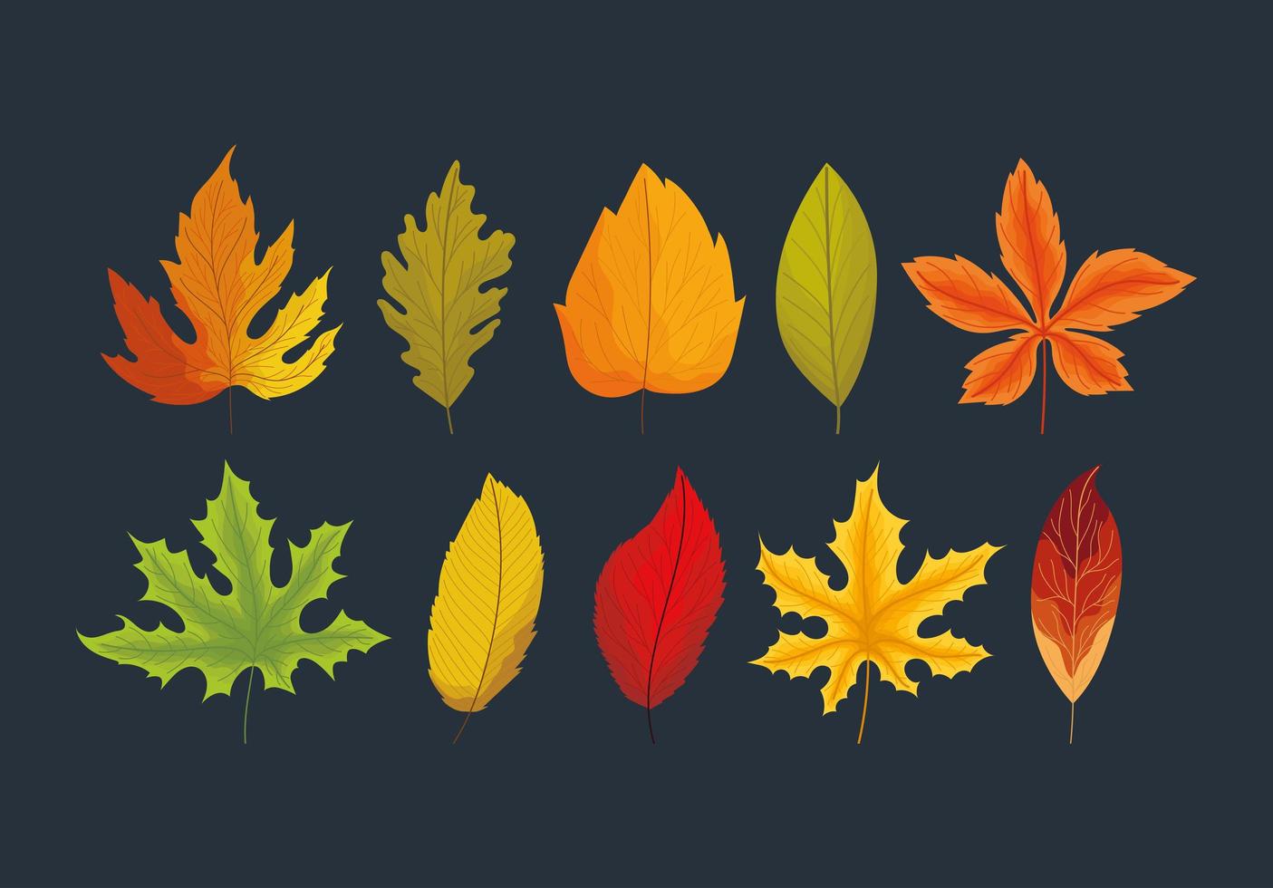 ten autumn leaves vector