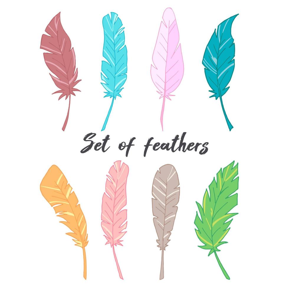 Set of feathers. Colored feathers. Vector illustration. Colorful picture. Stock vector illustration.