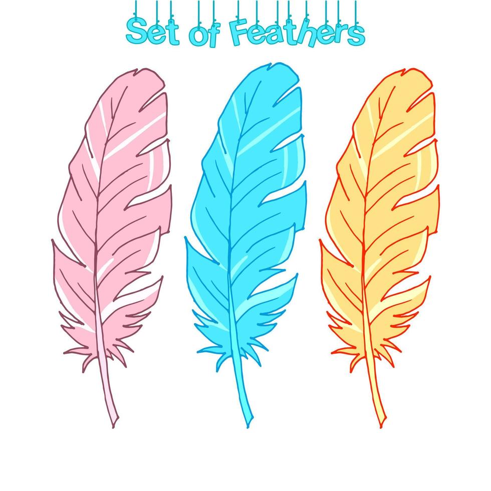 Set of feathers. Colored feathers. Vector illustration. Colorful picture. Stock vector illustration. Three feathers. Delicate colors.