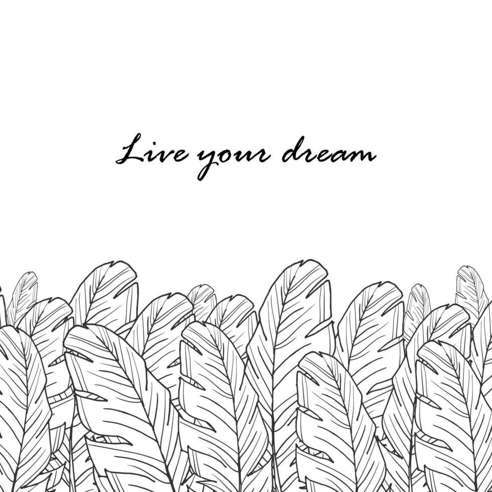 Postcard with feathers and inscription. Vector illustration.Live your dream. Stock vector. Black and white picture.