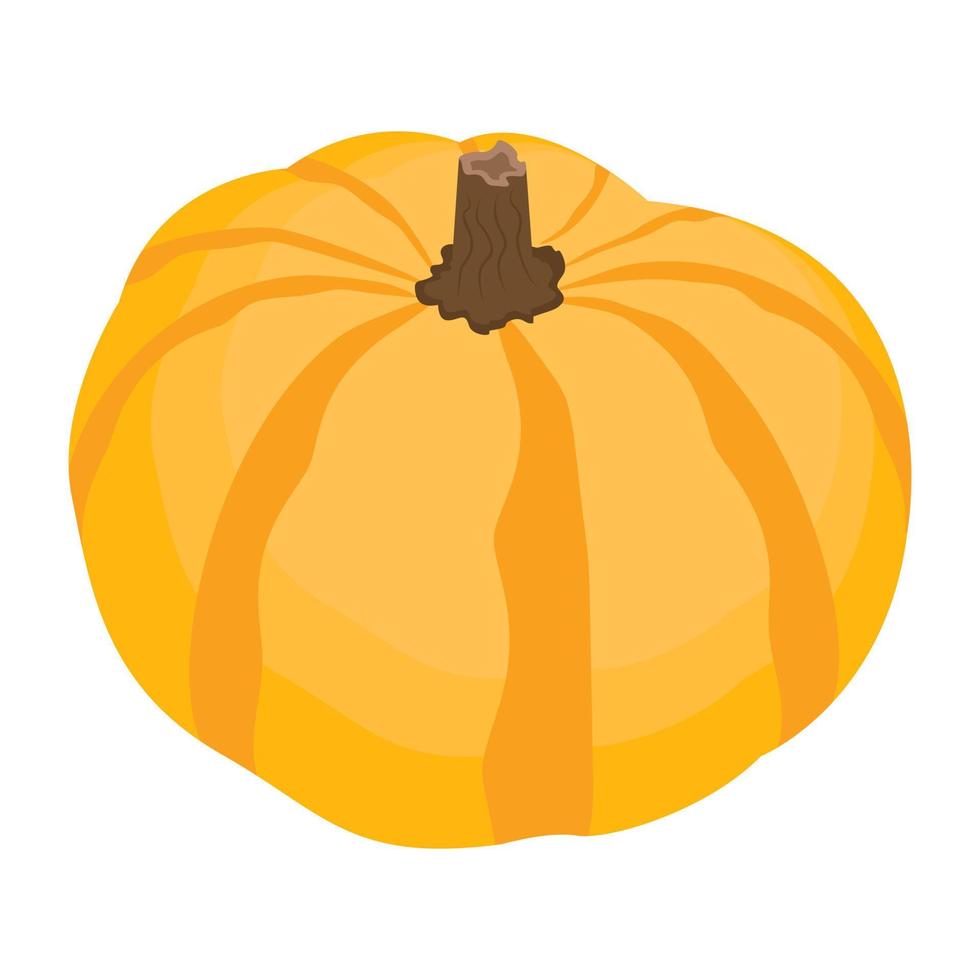 conceptos de calabaza de moda vector