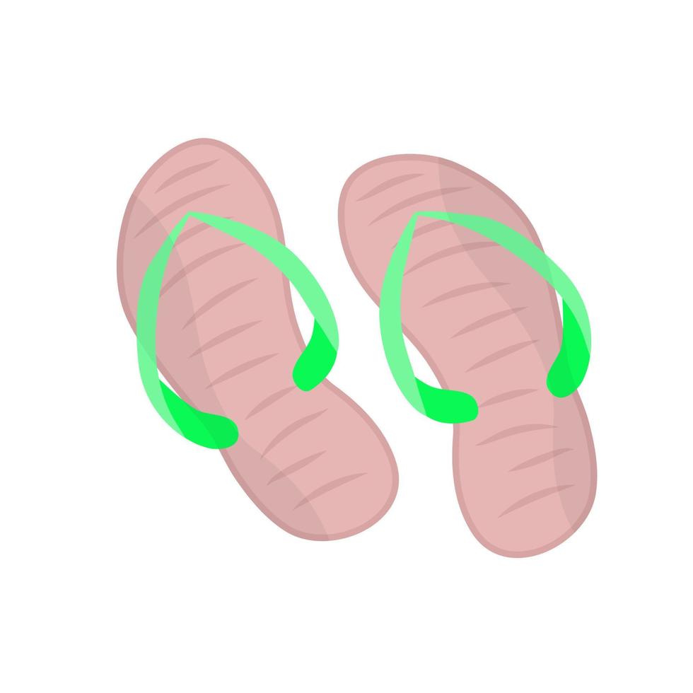 Summer slippers, flip flops. vector