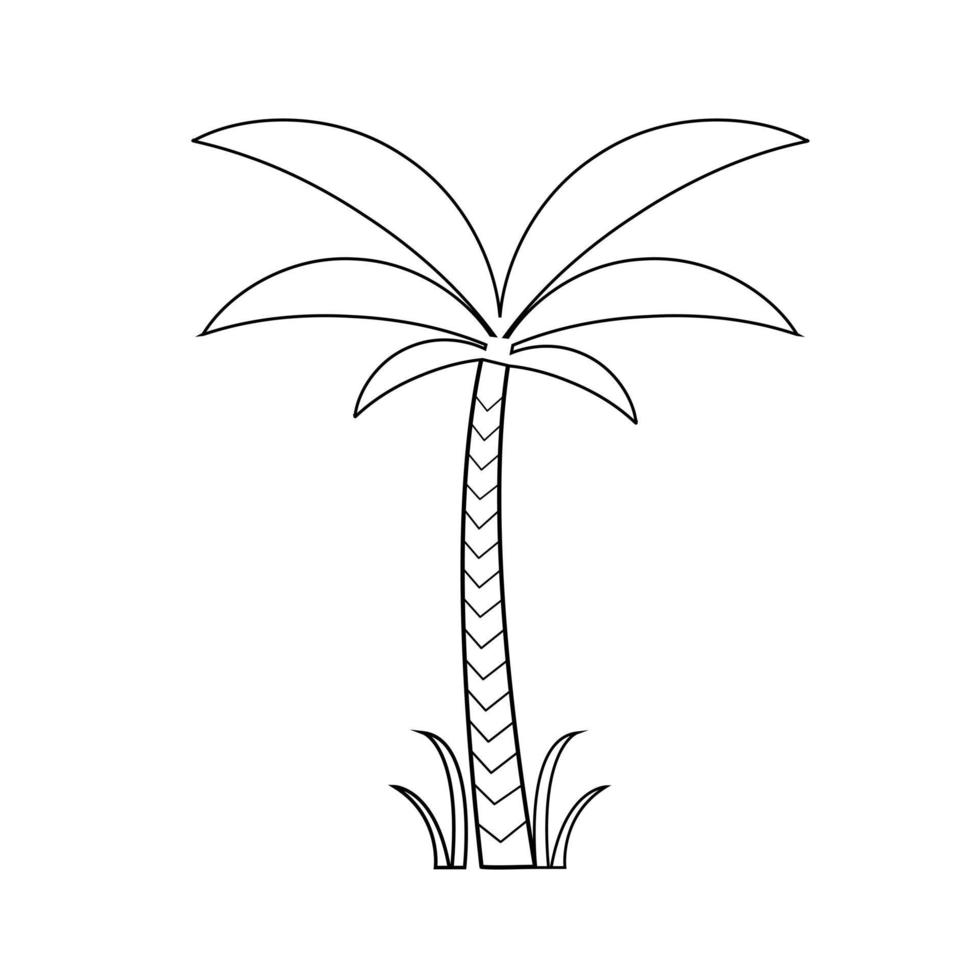 Palm tree icon vector