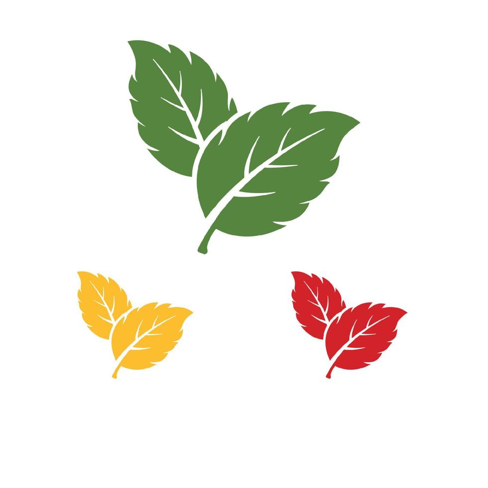 mint leaf element vector icon. green mint leaves vector symbol design