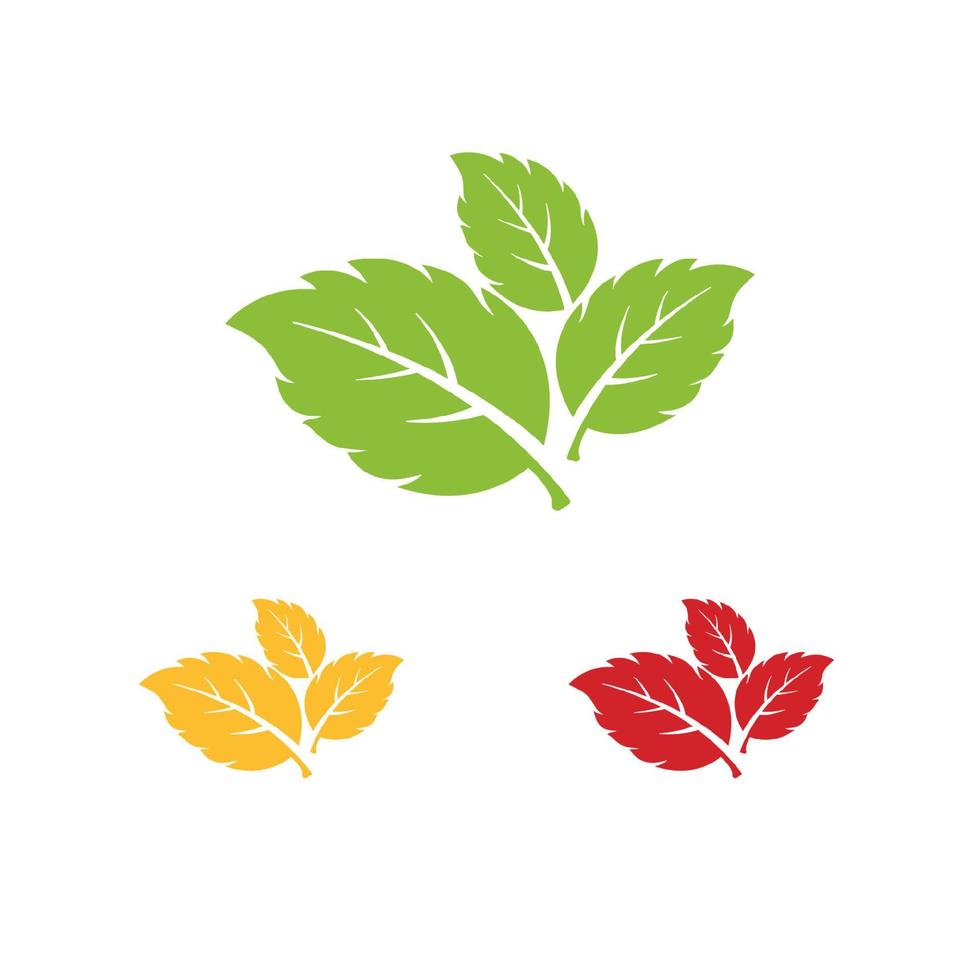 mint leaf element vector icon. green mint leaves vector symbol design