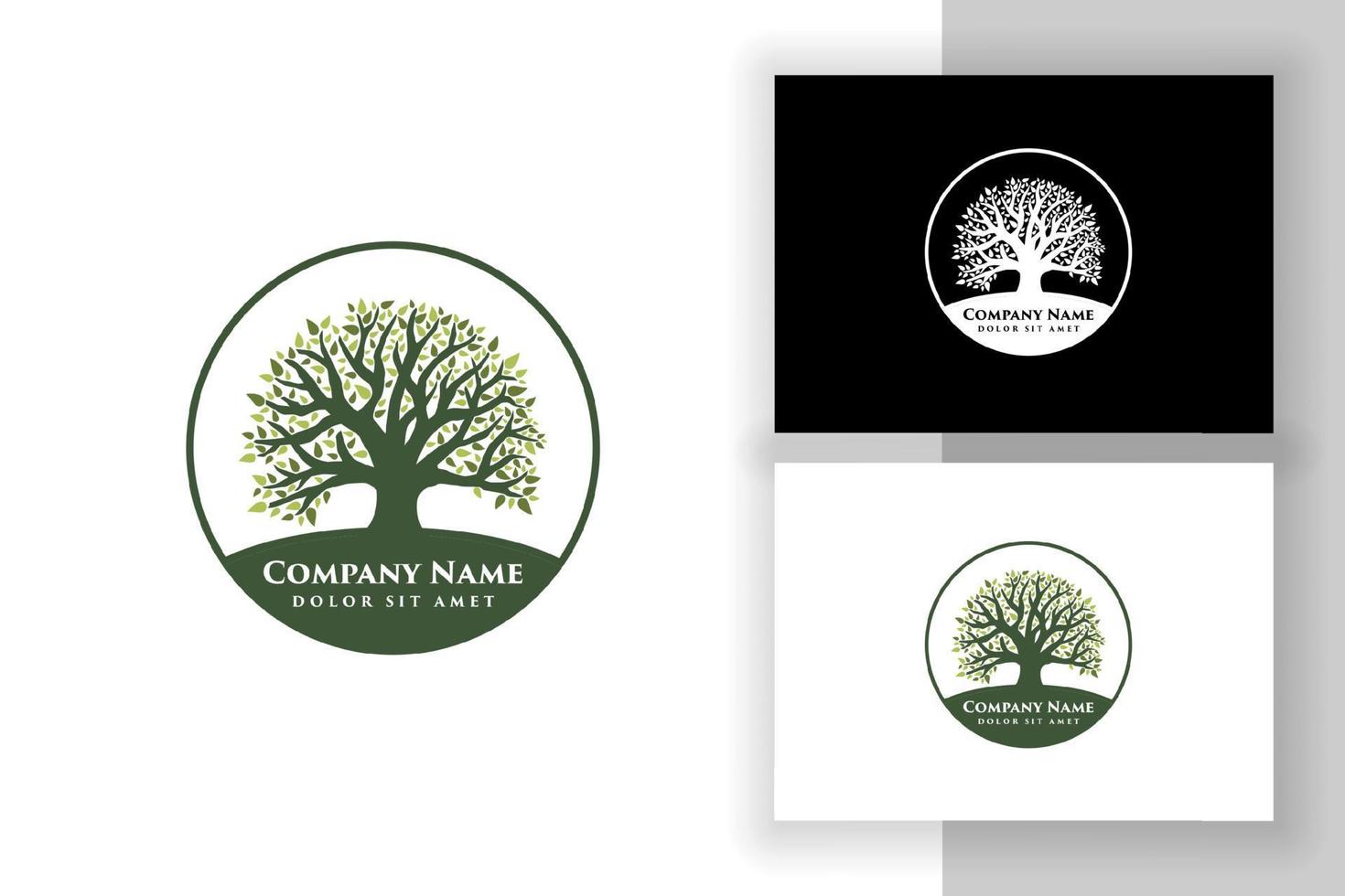 oak tree vector illustration logo design template. Abstract vibrant tree logo designs