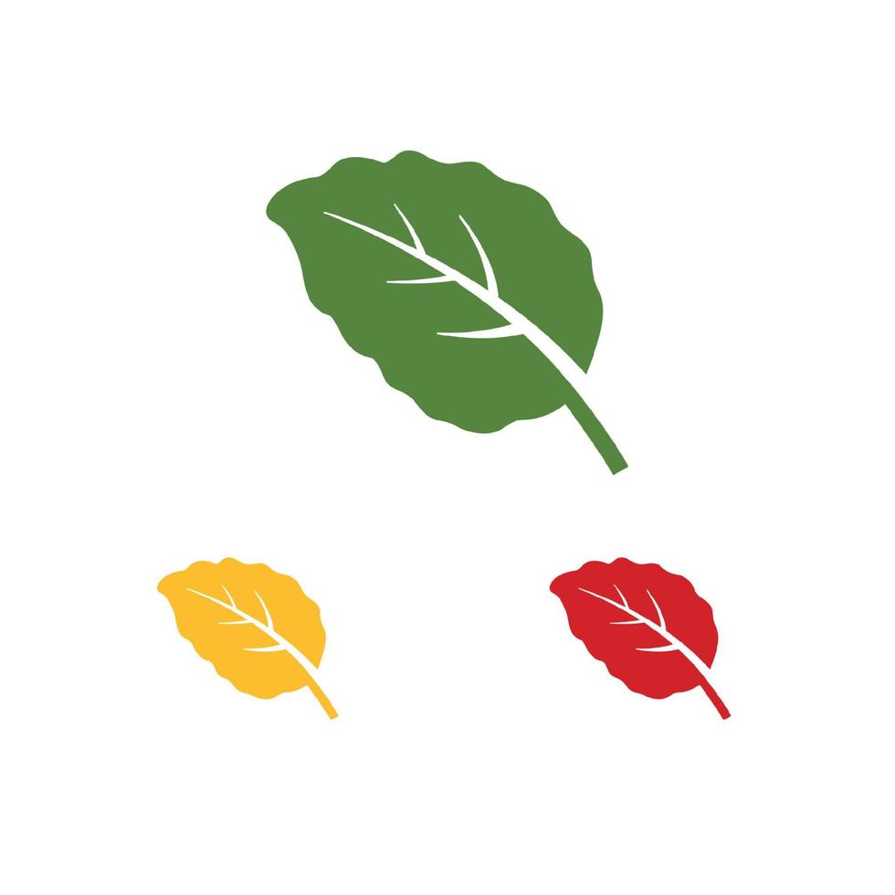 mint leaf element vector icon. green mint leaves vector symbol design