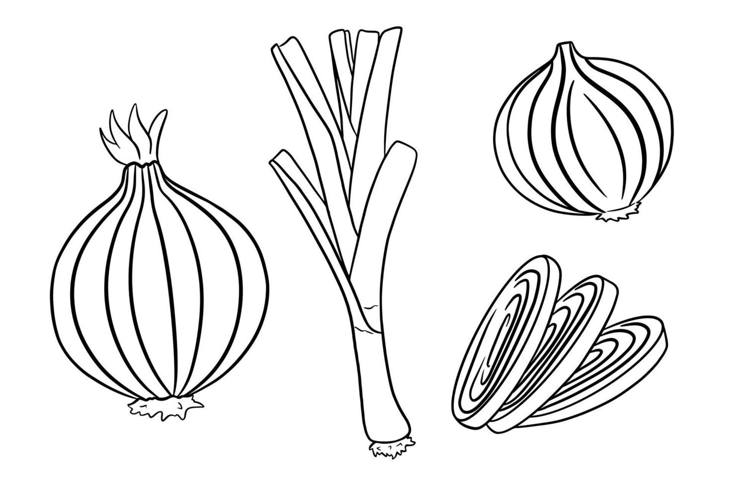 Bow set. Fresh green onions and onions whole and cut. vector