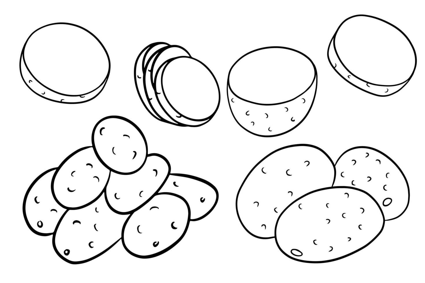 Set of potatoes. Whole potatoes, cut into wedges, half. vector