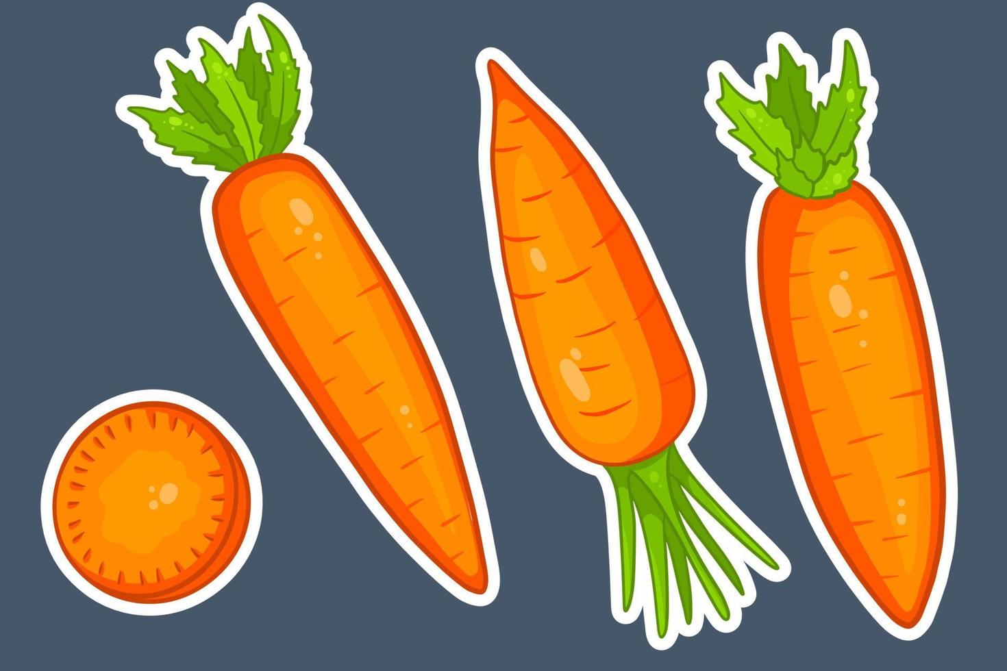 Carrot set. Fresh carrots and slices. In cartoon style stickers. vector