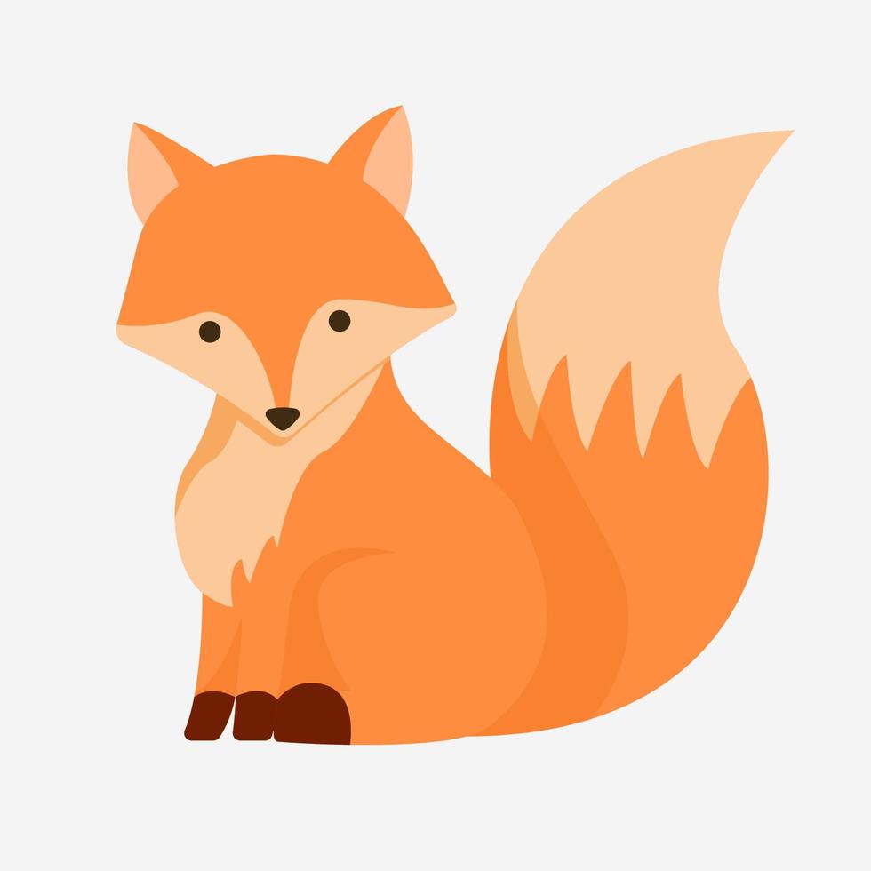 Fox illustration isolated white background vector