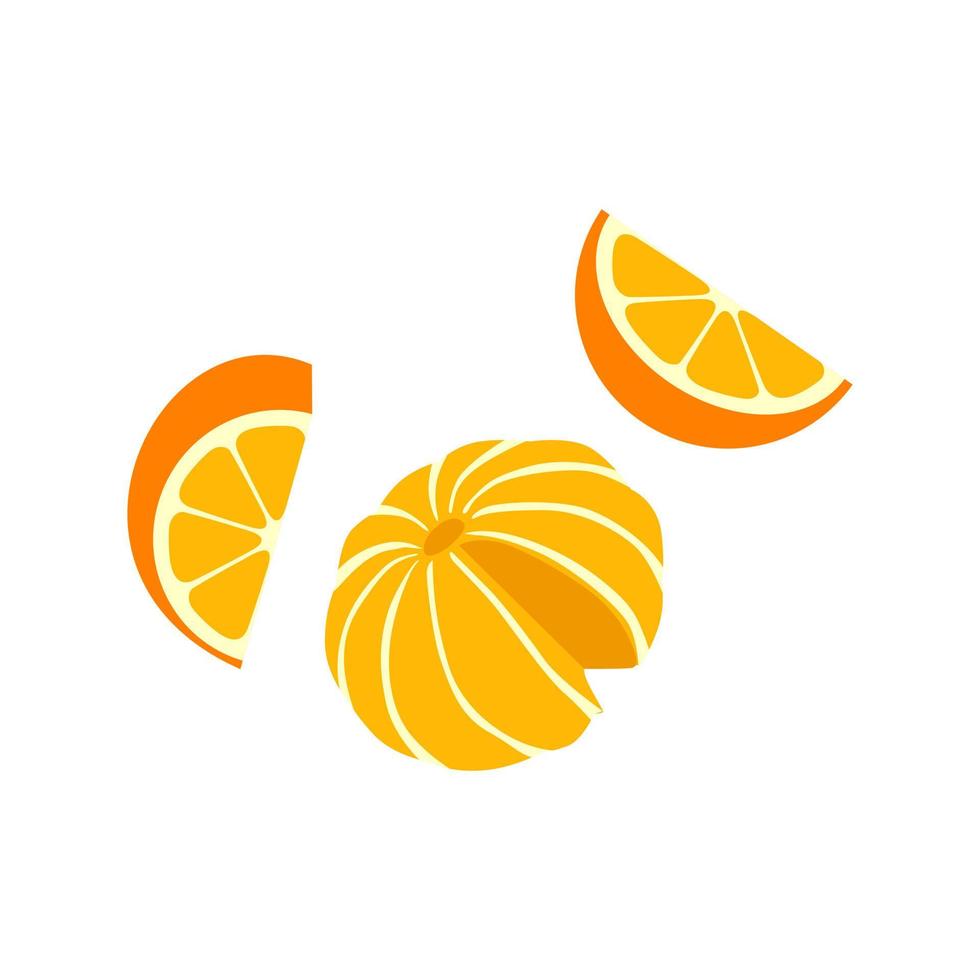Orange cut pieces vector illustration isolated on white background