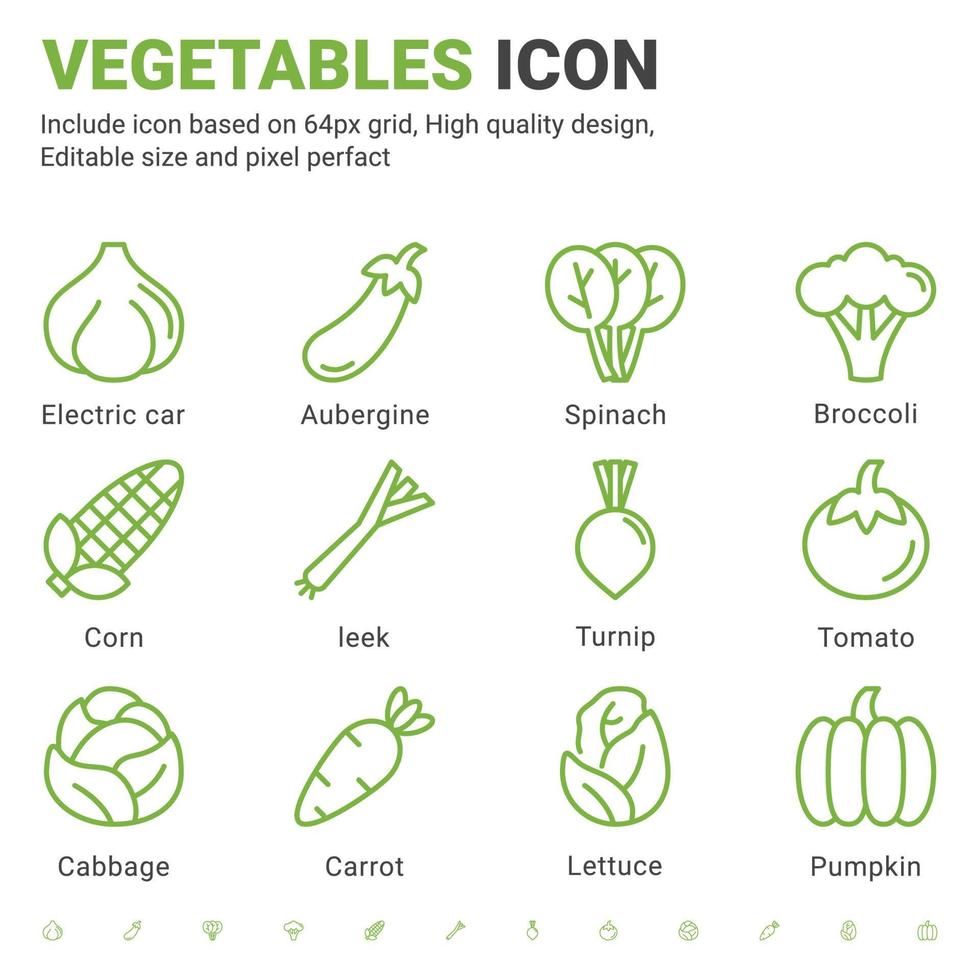 Vegetables icons set with outline style isolated on white background. Vector graphic illustration vegetable, celery, onion, cabbage, pumpkin, tomato, broccoli, corn, onion sign symbol concept for food