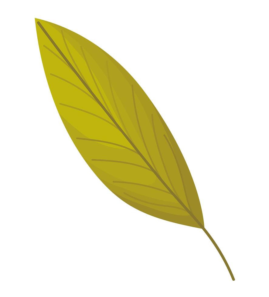 autumn jagged leaf vector