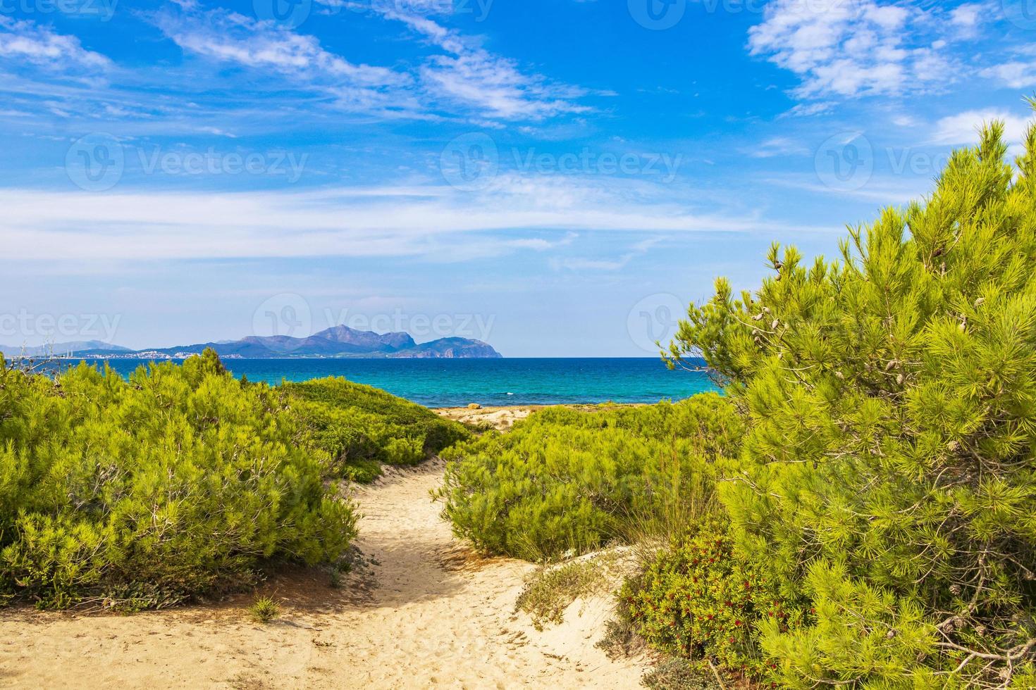 camino a través del paisaje natural de la costa can picafort mallorca españa. foto