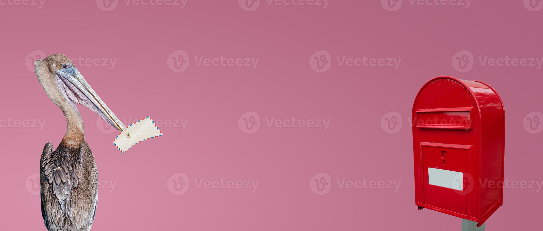 Banner with big red stylish postbox with white empty note space for address and a pelican holding in his beak a letter at gradient pink or rosy background with copy space for text. photo