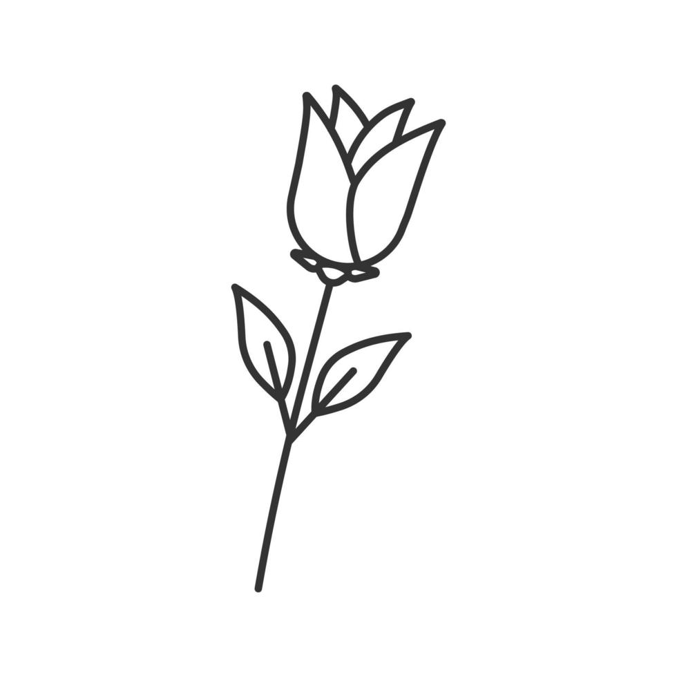 Rose flower linear icon. Blooming plant thin line illustration. Decorative flower contour symbol. Vector isolated outline drawing