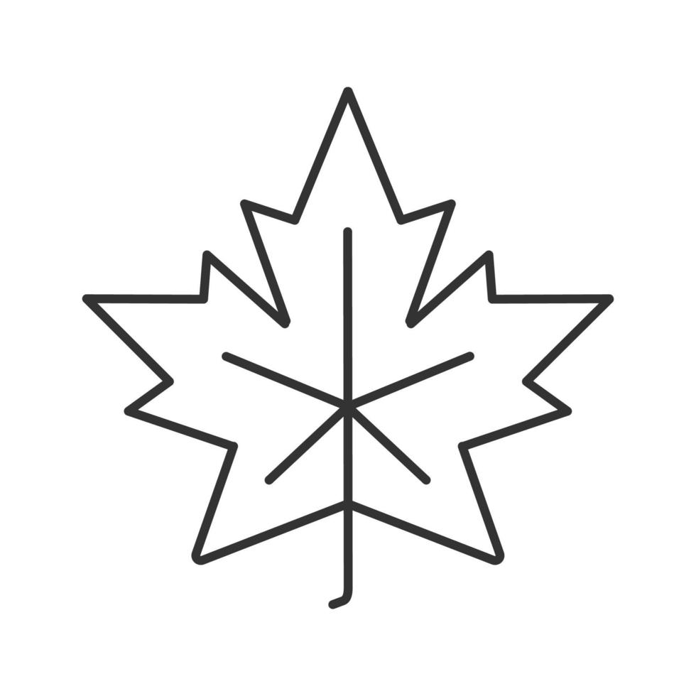 Maple leaf linear icon. Canada symbol contour symbol. Autumn attribute thin line illustration. Vector isolated outline drawing