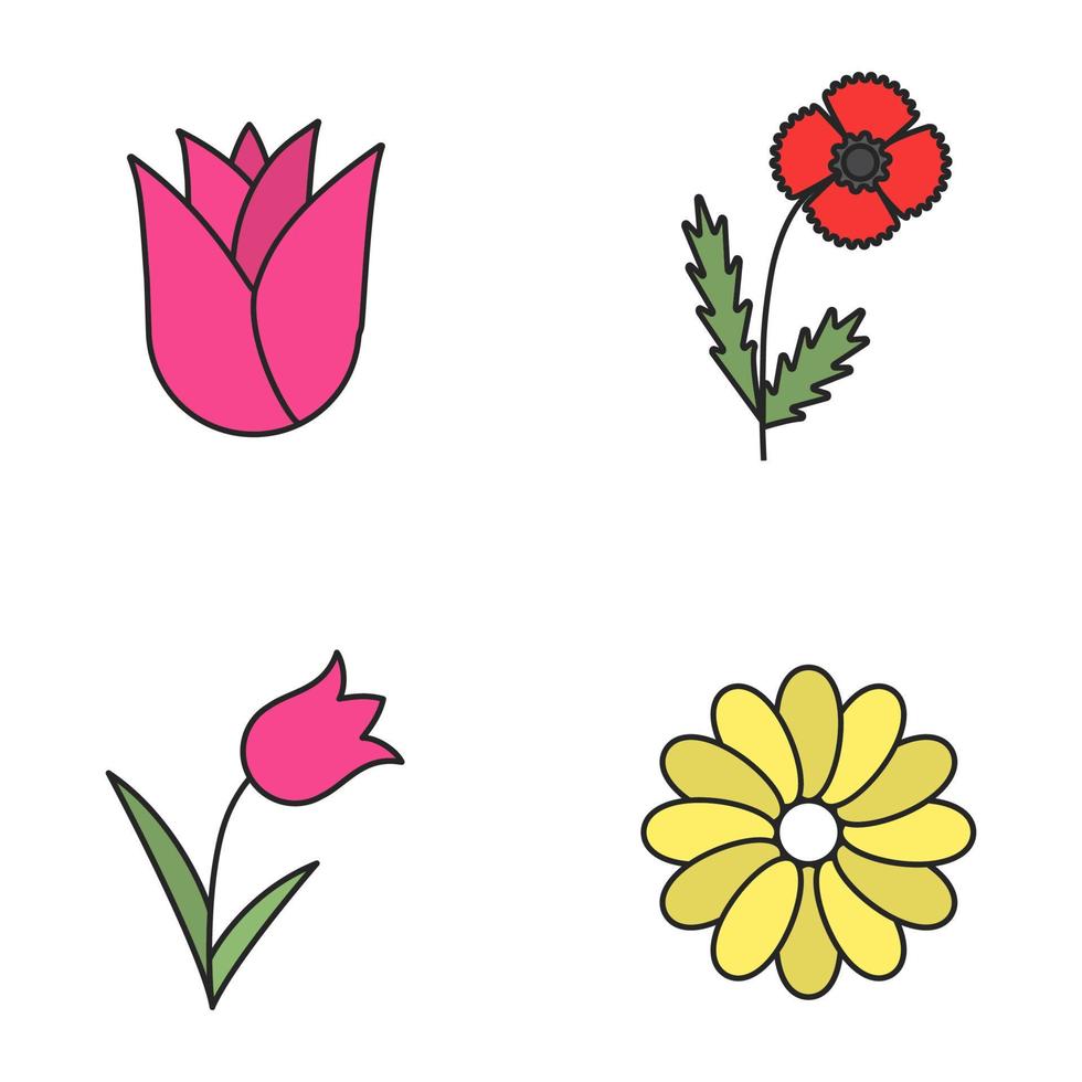 conjunto de iconos de colores de flores. capullo de rosa, amapola, tulipán, manzanilla. ilustraciones vectoriales aisladas vector