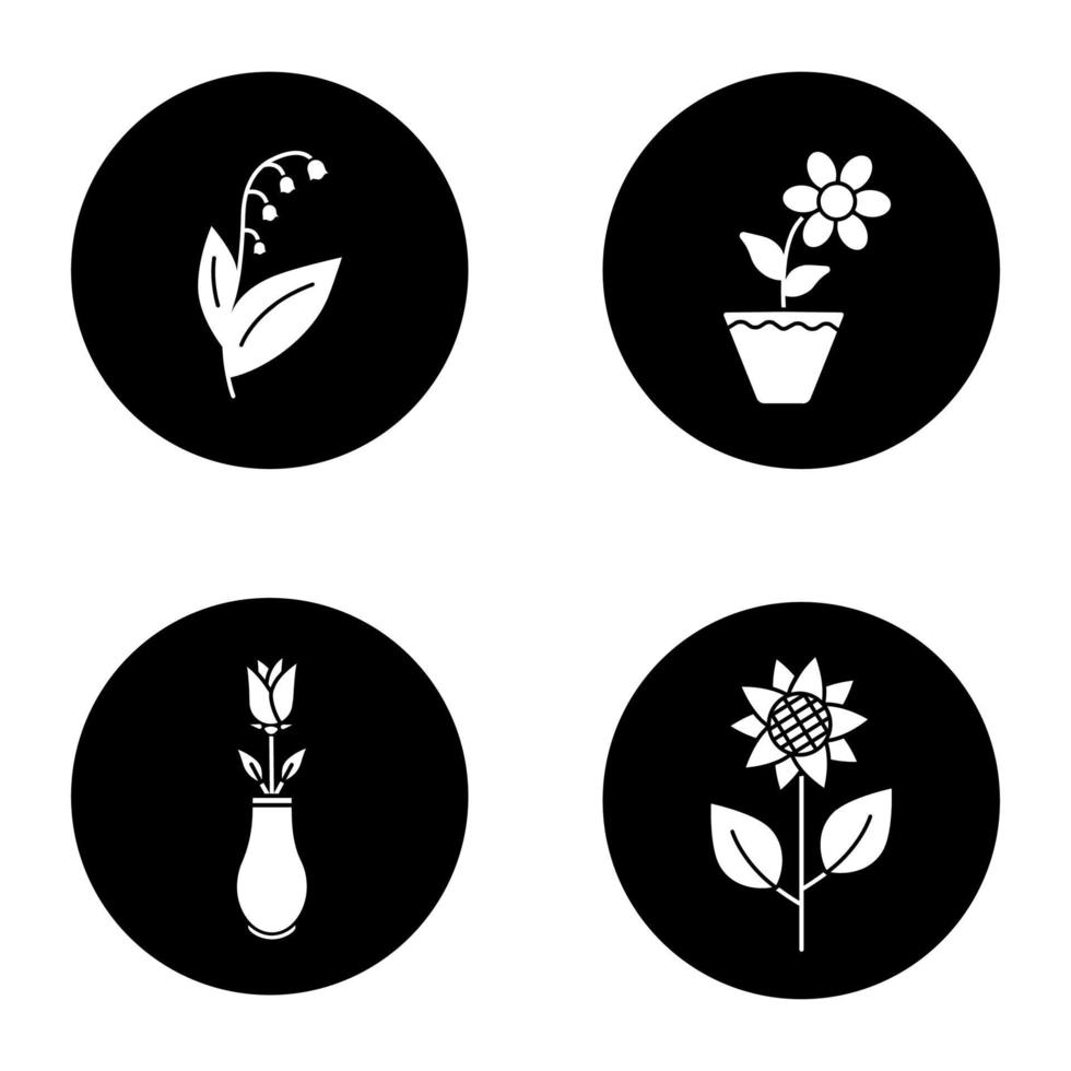 Flowers glyph icons set. Lily of the valley, crocus in flowerpot, rose in vase, sunflower. Vector white silhouettes illustrations in black circles