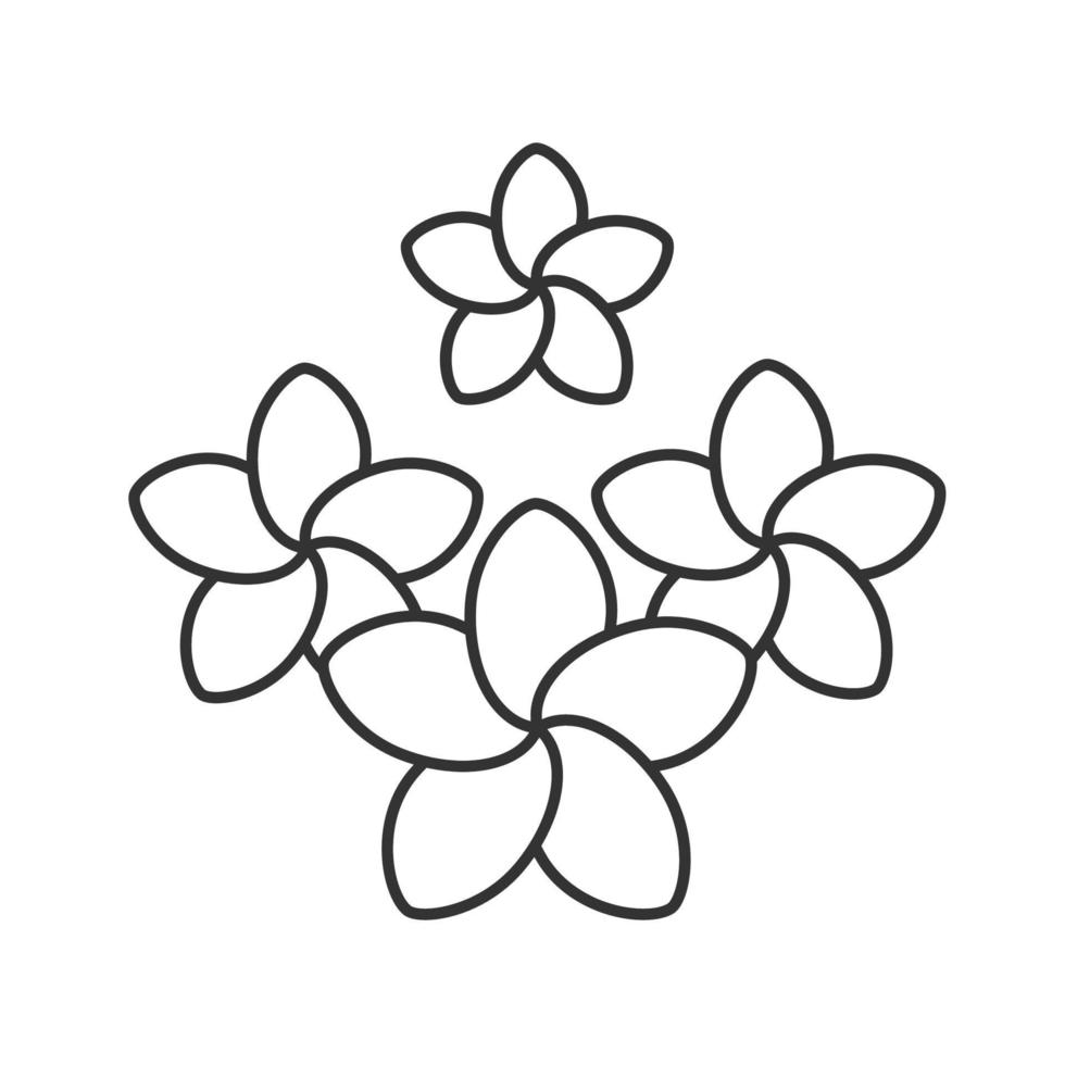 Spa salon plumeria flowers linear icon. Thin line illustration. Aromatherapy contour symbol. Vector isolated outline drawing