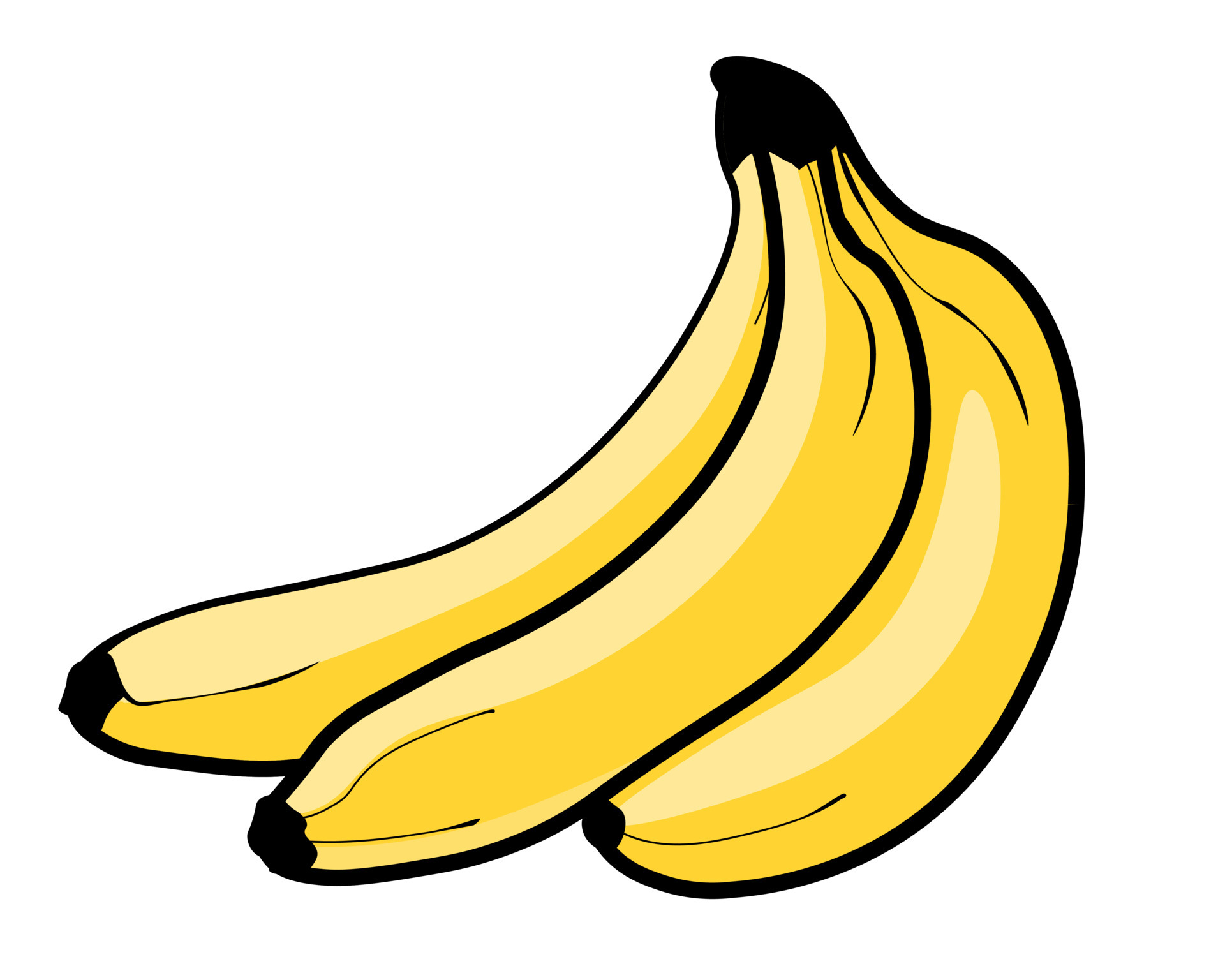 Fresh Three Delicious Banana Bunch, Hand Drawn Vector Illustration
