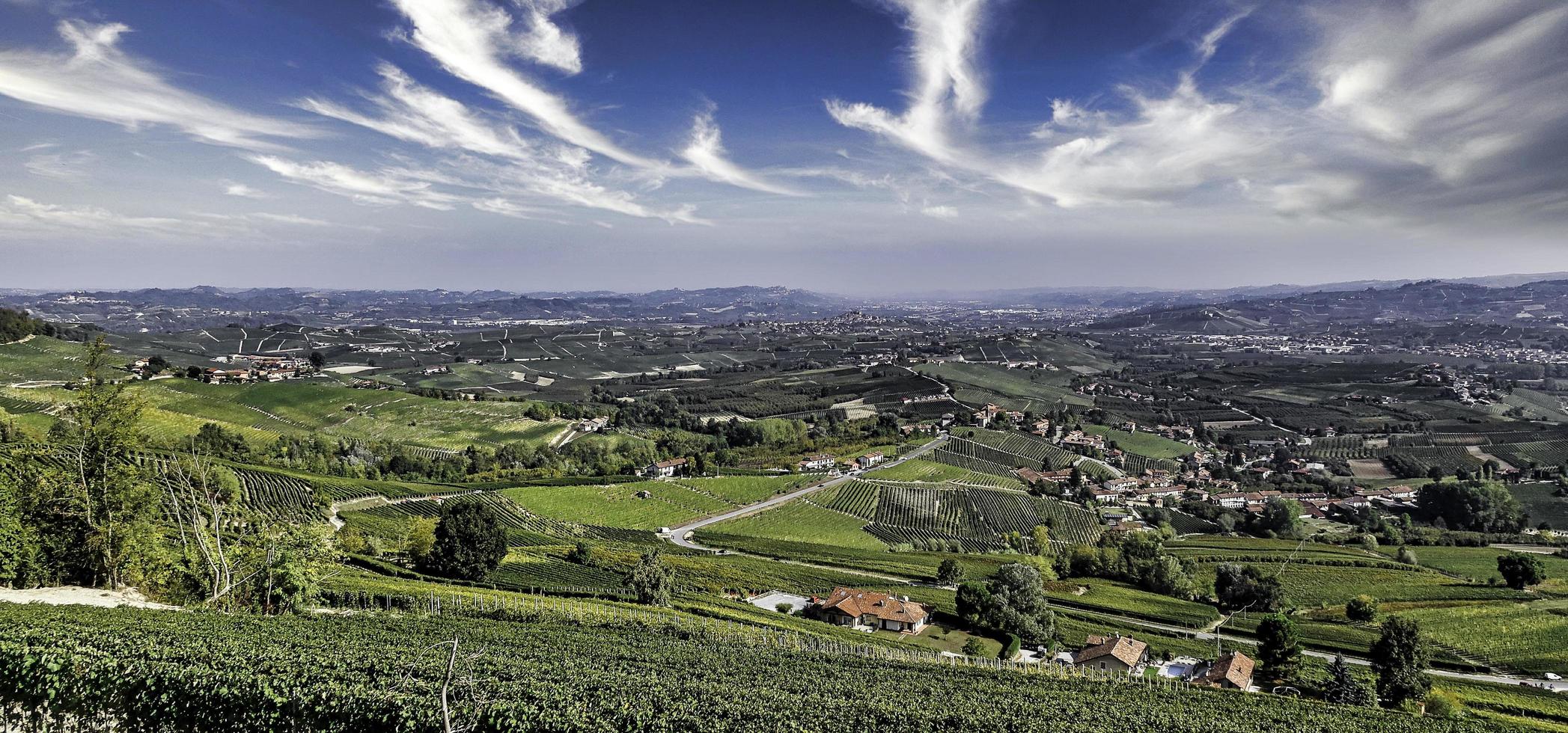 paisajes de la langhe piamontesa durante la cosecha, con los colores brillantes del otoño foto