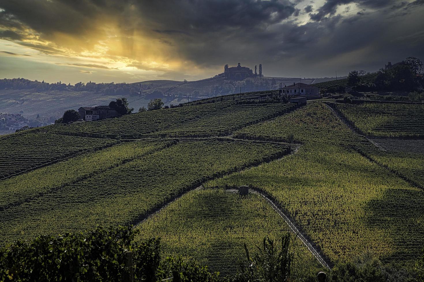 landscapes of the Piedmontese Langhe during the harvest, with the bright colors of autumn photo