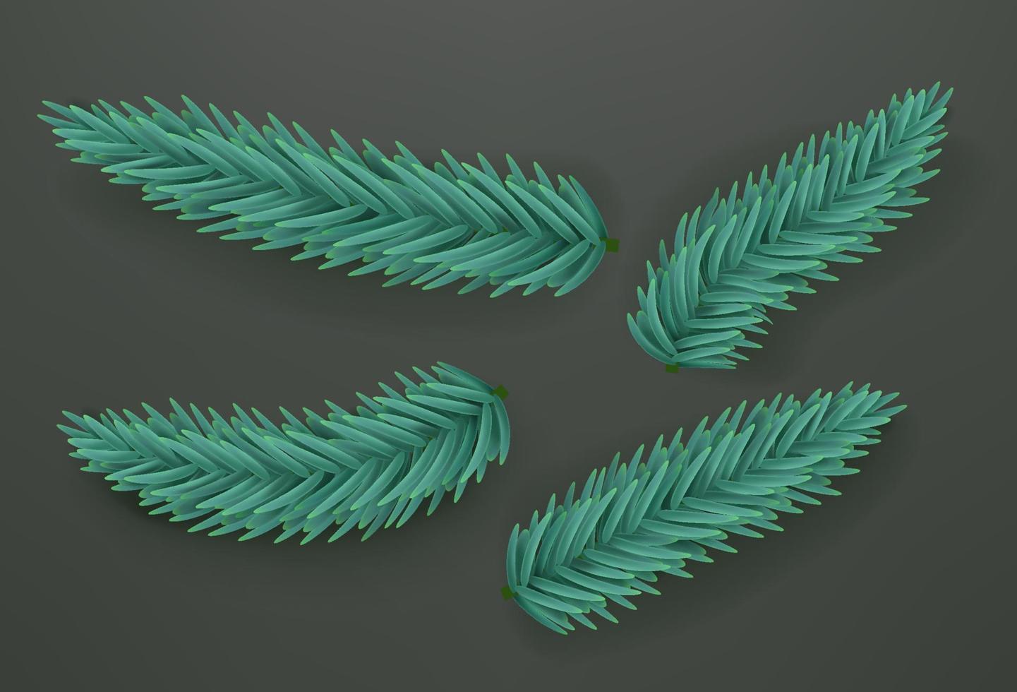 Blue pine branches vector clipart