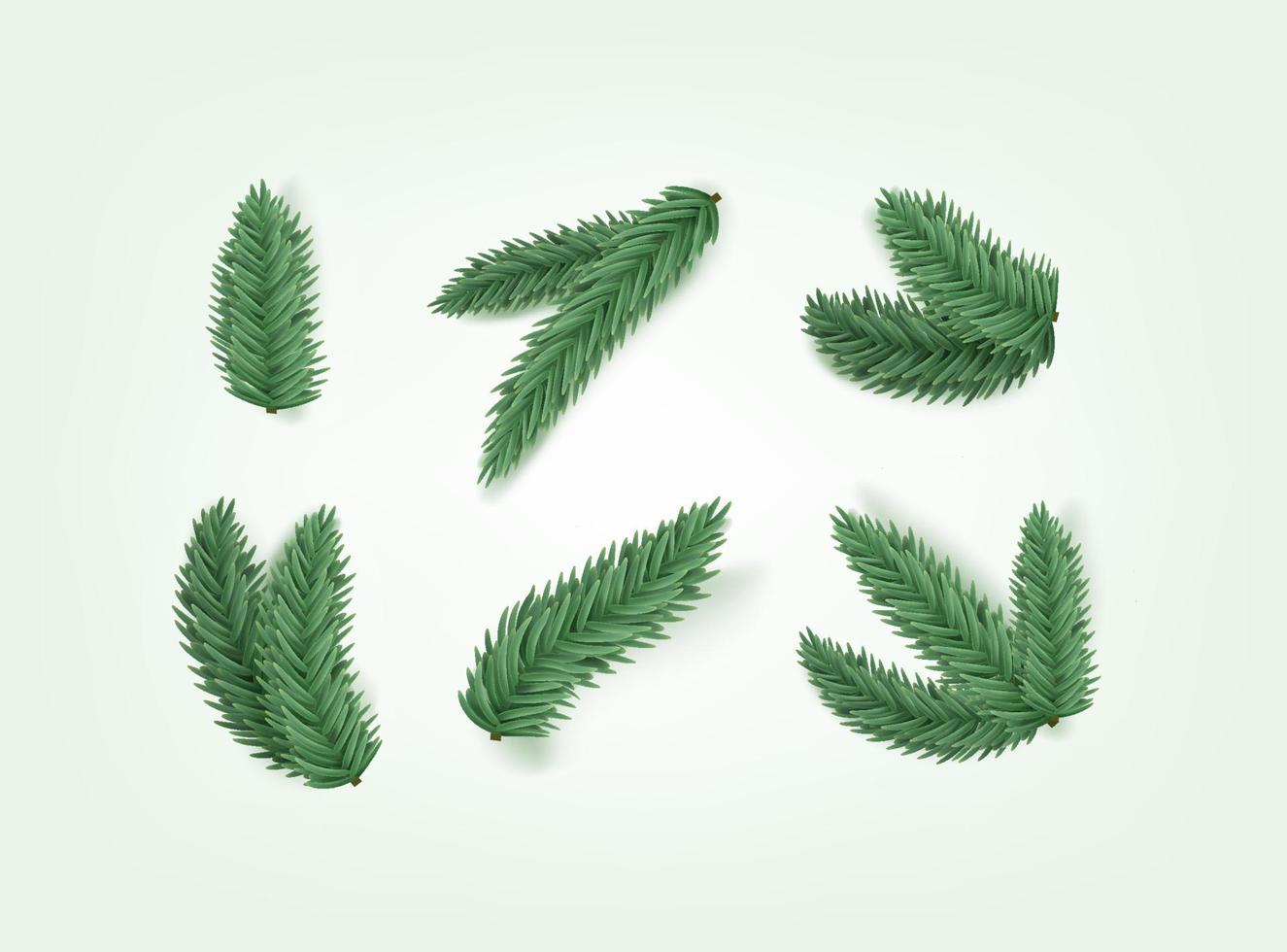 Green pine branches isolated on white background vector