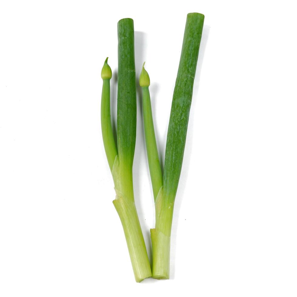 Green onions isolated on a white background photo