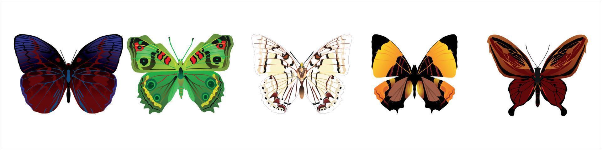 set of colorful cartoon butterflies on white background. vector