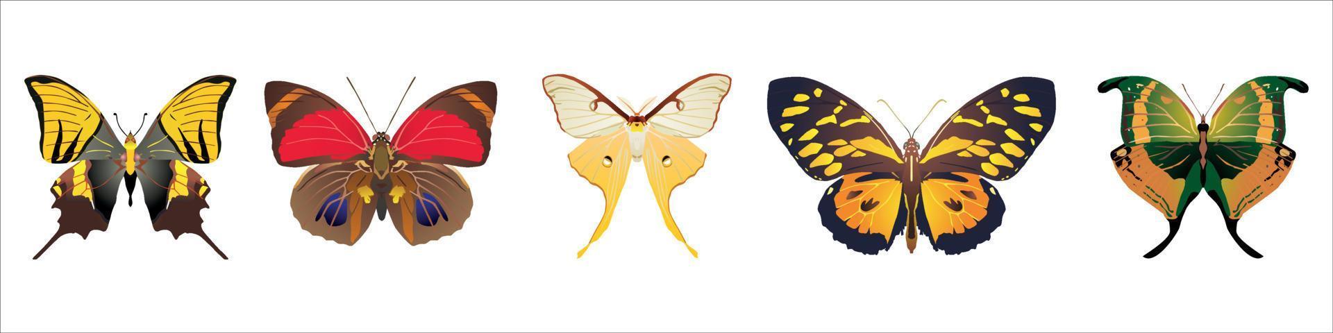 eslogan libre para volar con flores de colores en forma de media mariposa ilustración vector