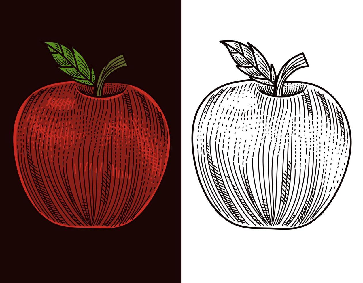 vector de manzana con estilo de grabado