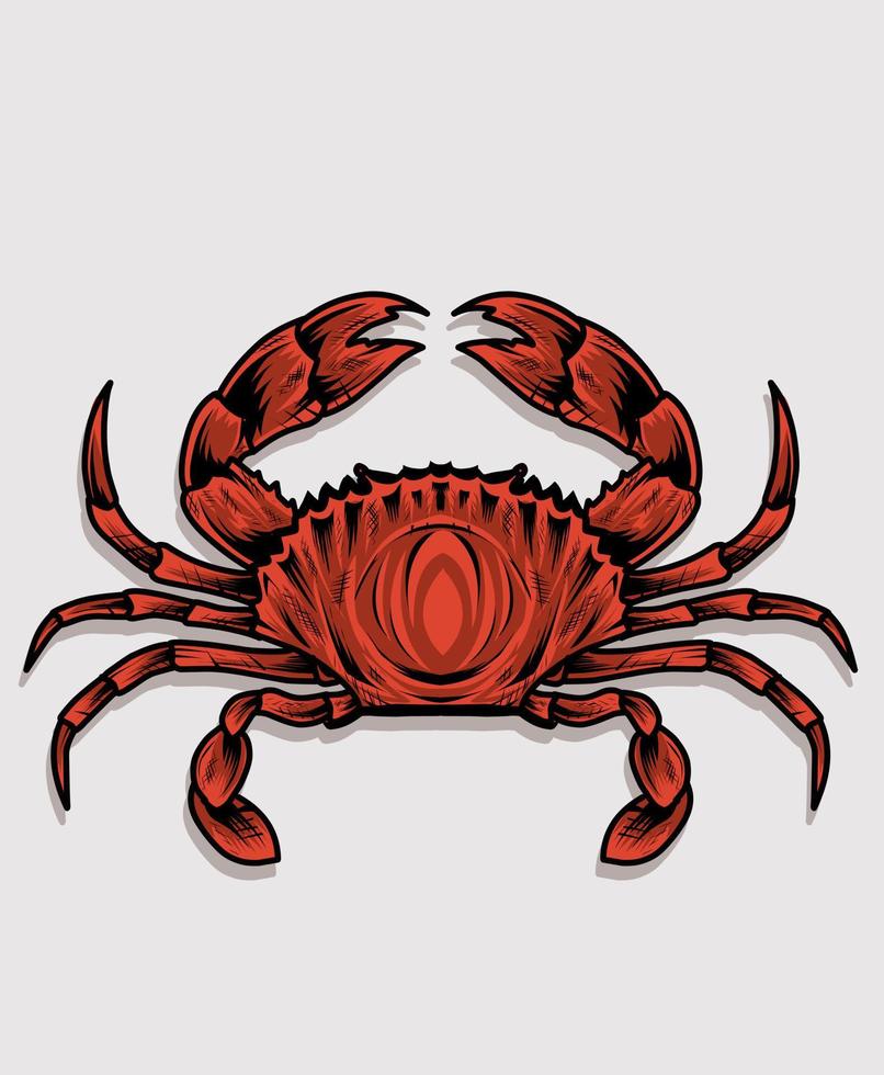 Illustration vector crab on white background