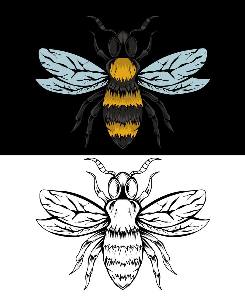 ilustración, vector, abeja, insecto, con, color, y, blanco y negro vector