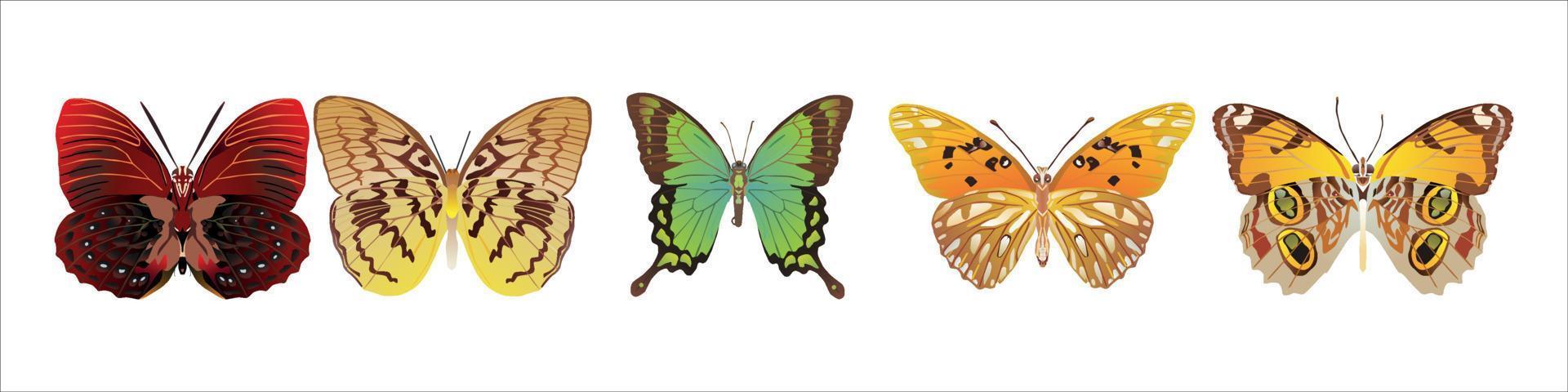 set of colorful cartoon butterflies on white. vector