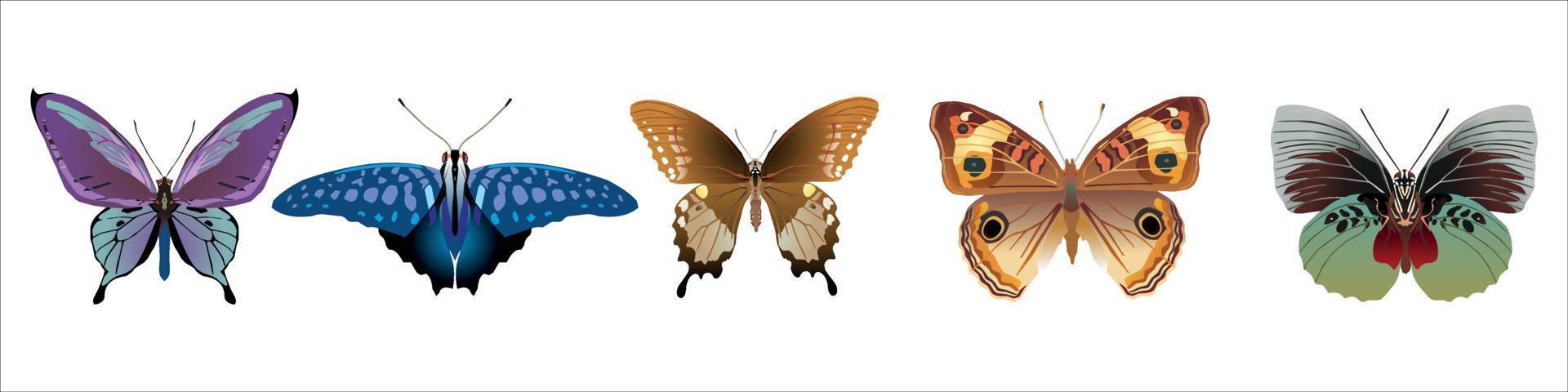 Butterfly Icon Set Vector