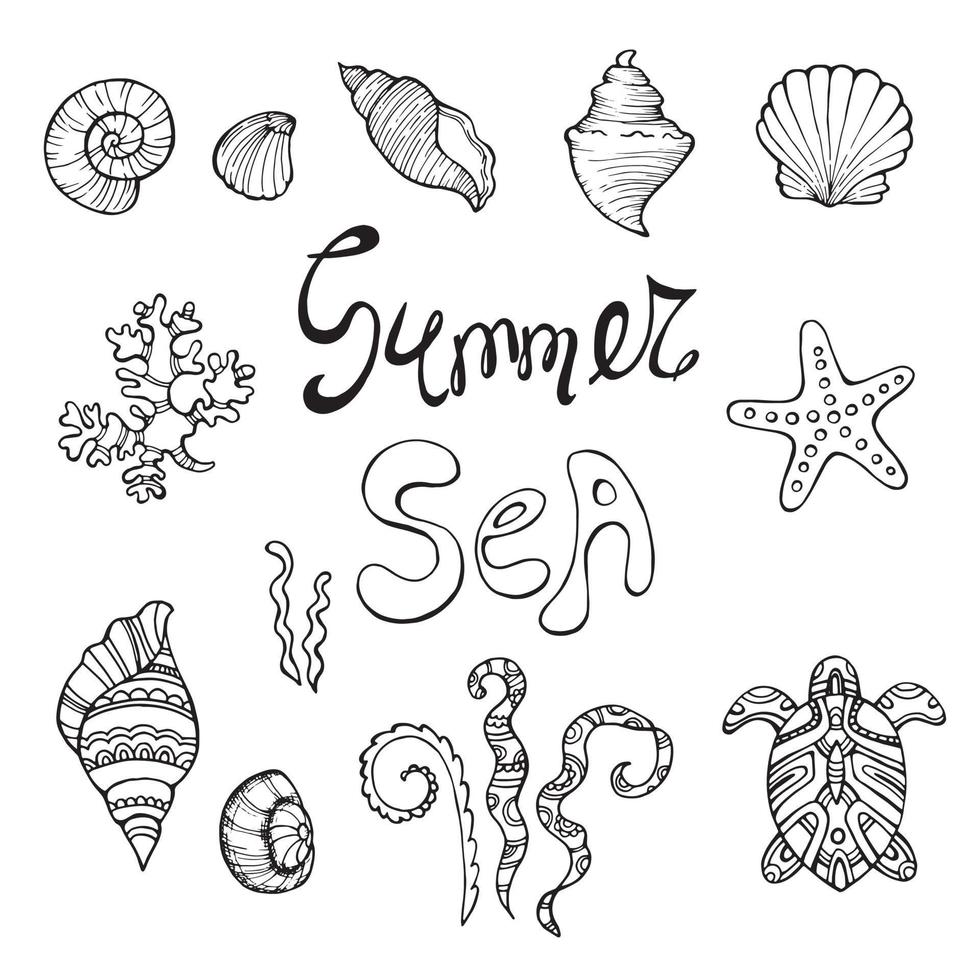 ilustraciones de vectores dibujados a mano - colección de conchas marinas. conjunto marino. perfecto para invitaciones, tarjetas de felicitación, carteles, impresiones, pancartas, folletos