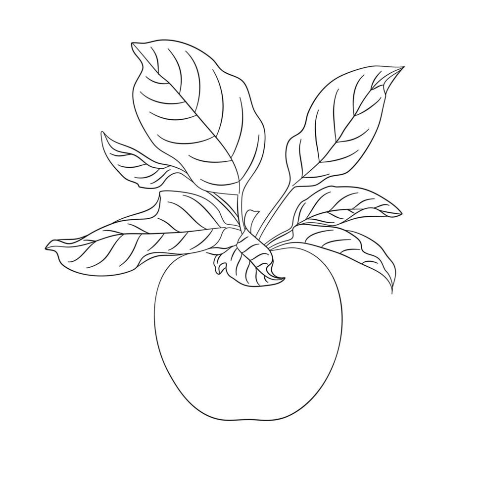 outlined apple fruit icon black silhouette logo vector design element