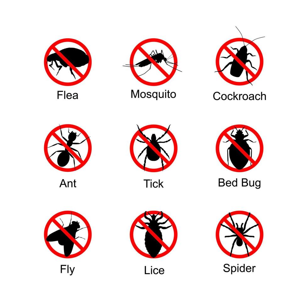 anti símbolo de error icono de pulga, hormiga, mosca, mosquito, garrapata, piojos, cucaracha, chinche, araña vector