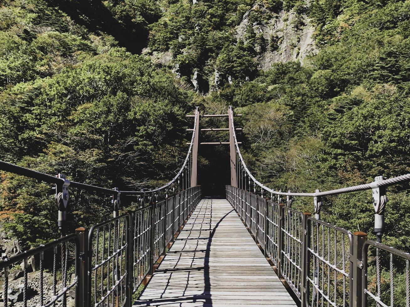 Puente colgante sobre el volcán Hallasan. vista frontal foto