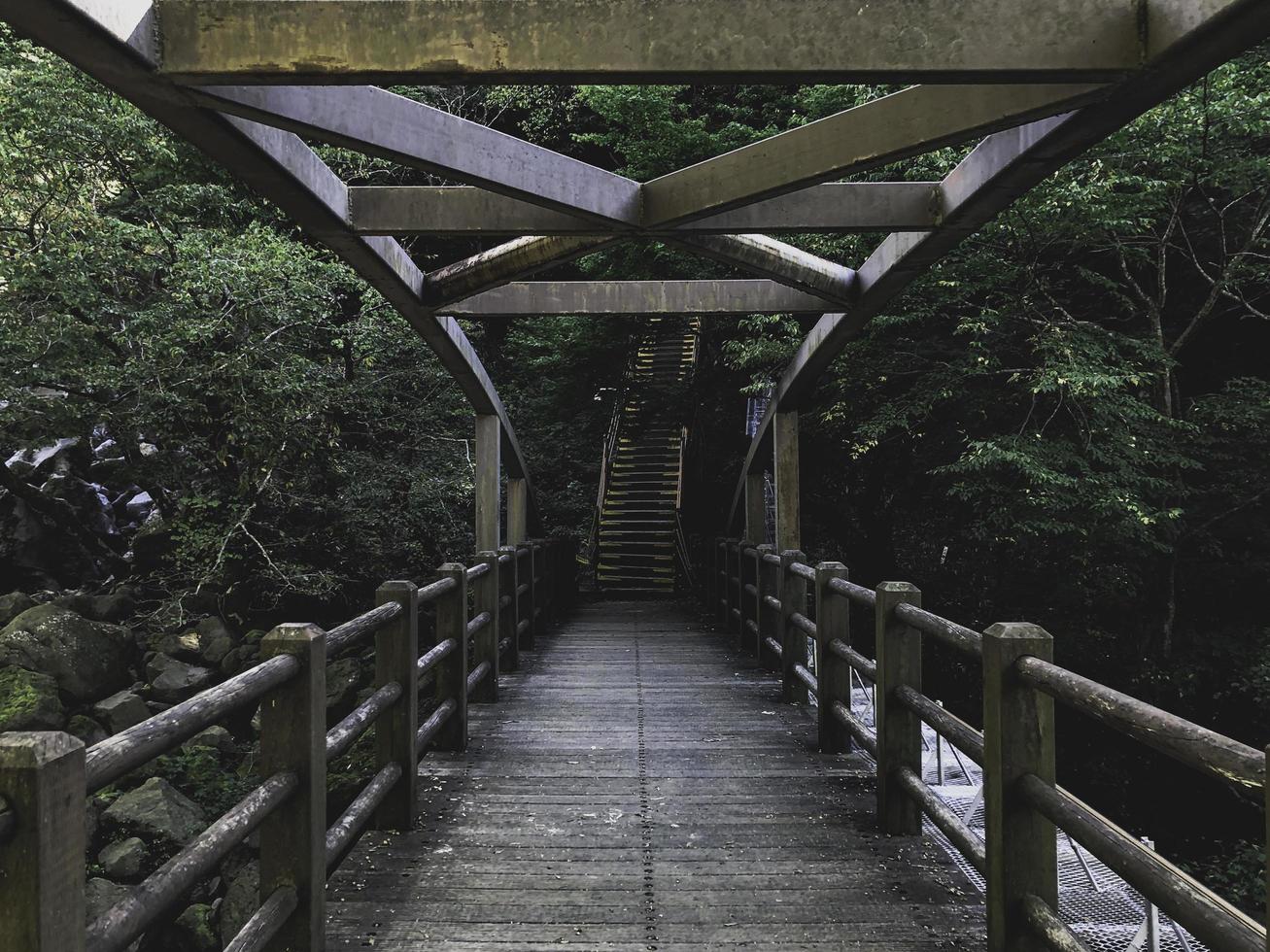 puente de madera en un bosque de la isla de jeju. Corea del Sur foto